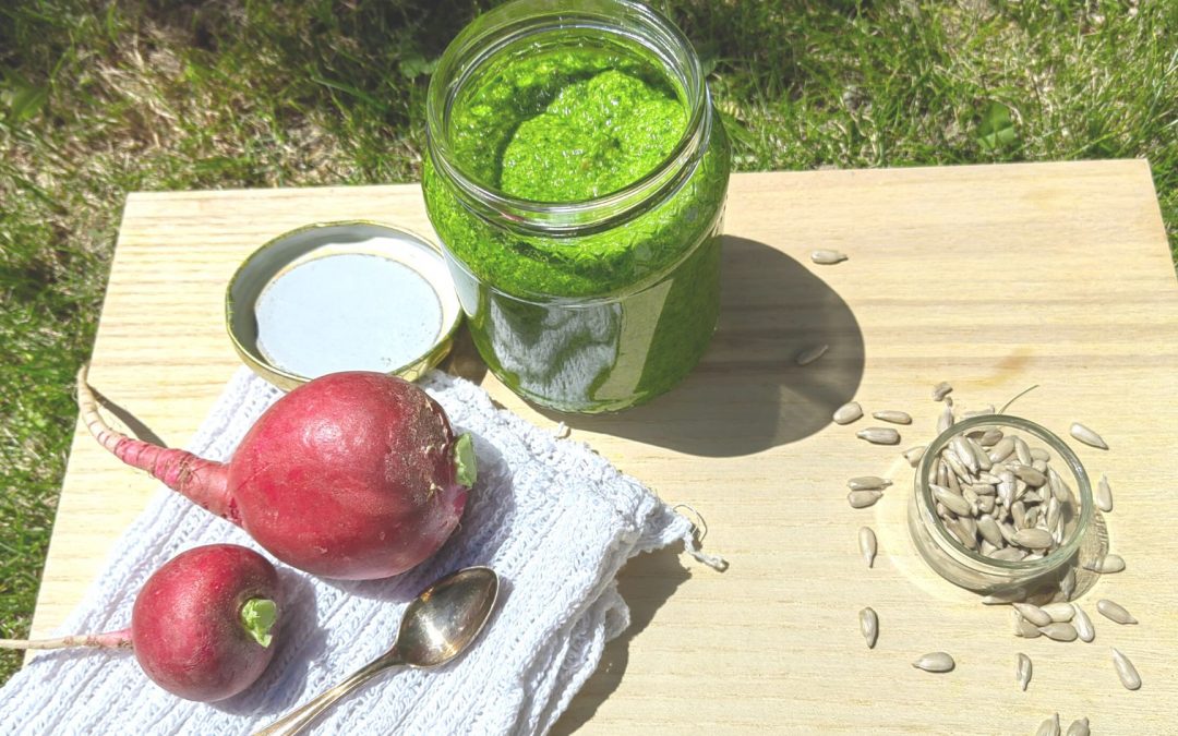 Radieschengrün Pesto – die Superkraft für unseren Darm